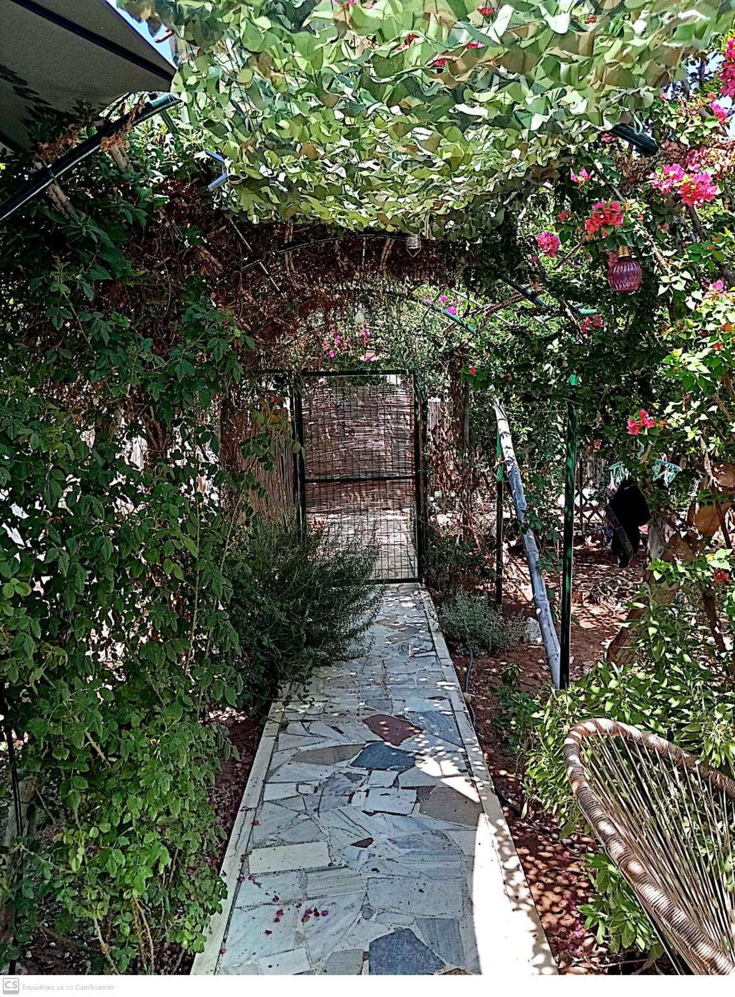 Εξοχικό Maria Villa Ambelakia Buitenkant foto